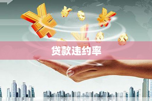 前金贷款违约率