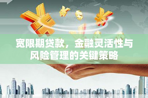 前金宽限期贷款，金融灵活性与风险管理的关键策略