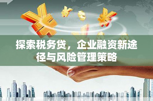 前金探索税务贷，企业融资新途径与风险管理策略