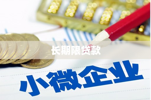 前金长期限贷款