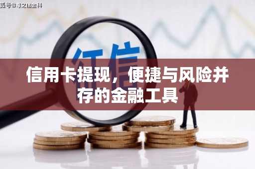 前金信用卡提现，便捷与风险并存的金融工具
