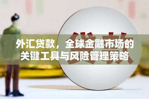 前金外汇贷款，全球金融市场的关键工具与风险管理策略