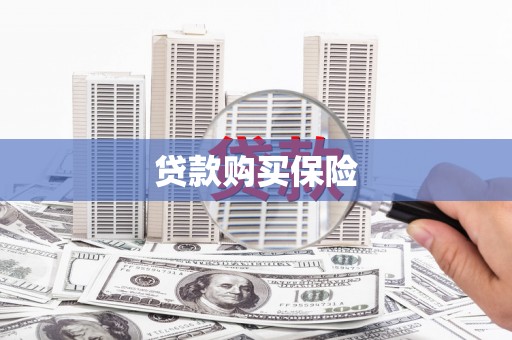 前金贷款购买保险