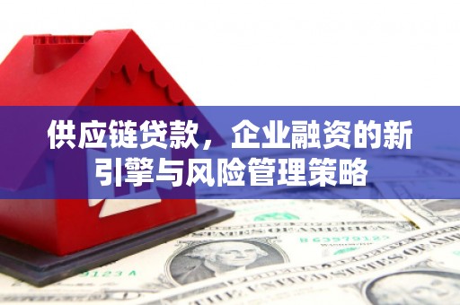 前金供应链贷款，企业融资的新引擎与风险管理策略