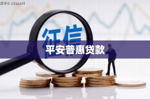 前金平安普惠贷款