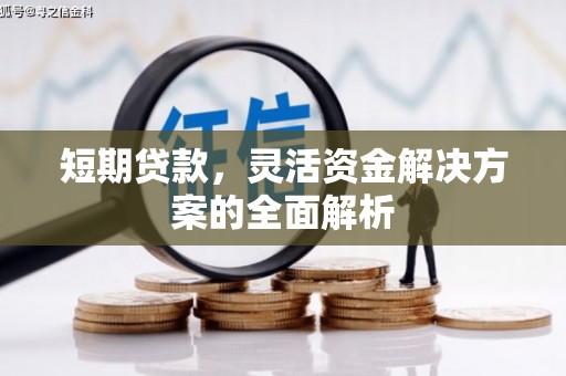 前金短期贷款，灵活资金解决方案的全面解析