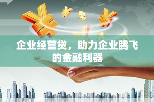 前金企业经营贷，助力企业腾飞的金融利器