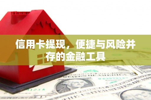 前金信用卡提现，便捷与风险并存的金融工具