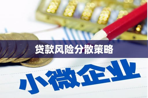 前金贷款风险分散策略