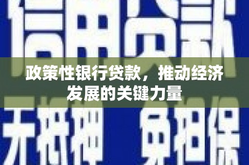 前金政策性银行贷款，推动经济发展的关键力量