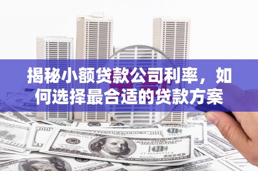前金揭秘小额贷款公司利率，如何选择最合适的贷款方案