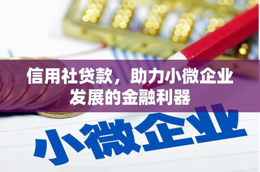 前金信用社贷款，助力小微企业发展的金融利器