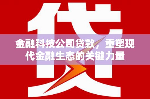 前金金融科技公司贷款，重塑现代金融生态的关键力量
