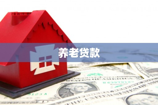 前金养老贷款
