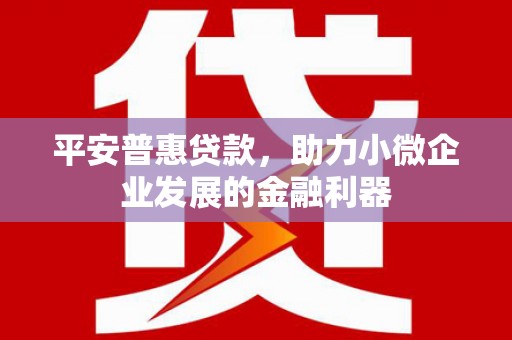 前金平安普惠贷款，助力小微企业发展的金融利器