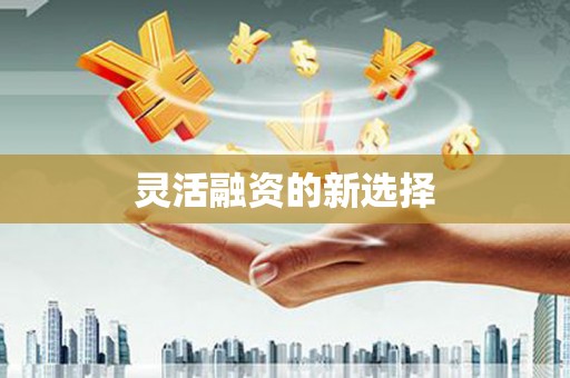 前金灵活融资的新选择