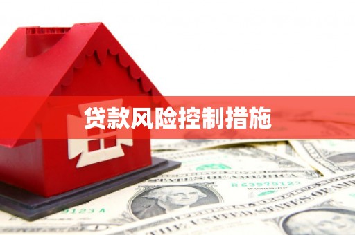 前金贷款风险控制措施