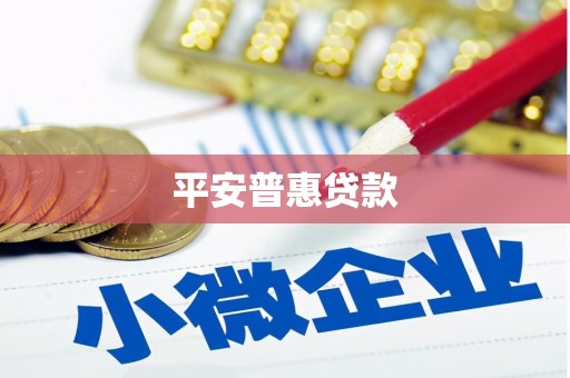 前金平安普惠贷款